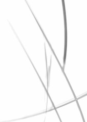 vector illustration of an airplane