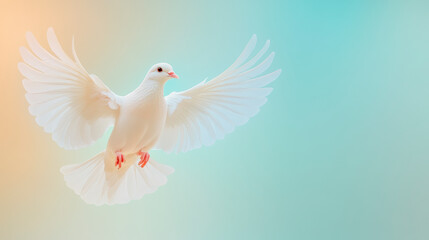 Fototapeta premium A white dove in flight against a soft, pastel-colored gradient background, symbolizing peace and freedom.