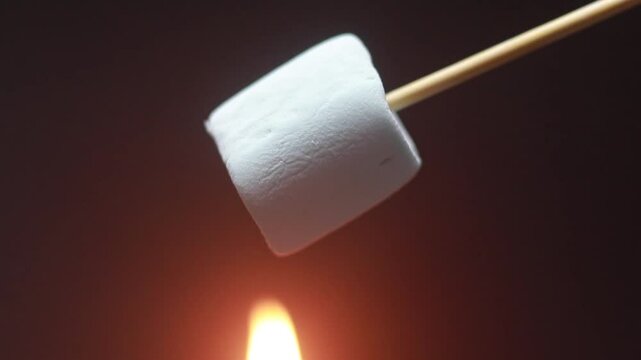 Marshmallow on a stick with flame in the background for bar b que