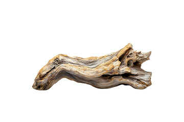 Fototapeta premium Beautiful Driftwood Piece, Natural and Rustic Decoration on transparent background 