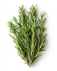 Fototapeta premium Fresh rosemary sprigs on white background showcasing vibrant green hues and aromatic culinary herb in a minimalist style
