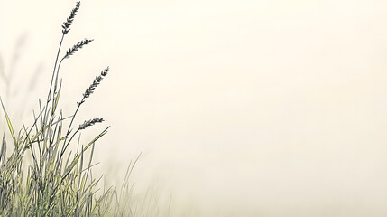 Whispers of the Meadow: A minimalist study of tall grass and seed heads, evoking a sense of peace and the soft caress of a gentle breeze.
