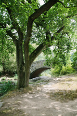 Fototapeta premium Beautiful stone bridge nestled in lush greenery along a serene riverbank on a sunny day