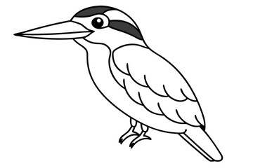 a cute kingfisher line art silhouette vector illustration