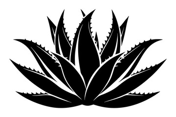 aloe vera plant line art silhouette vector illustration