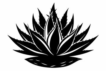 aloe vera plant line art silhouette vector illustration
