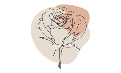 Linear rose minimalist floral art vector illustration, Line art Rose 
