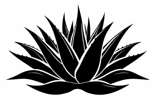 black agave plant silhouette on white clip art preview