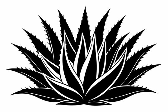 black and white aloe vera plant clip art preview