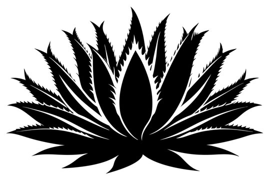 black agave plant silhouette on white background clip art preview