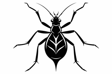 aphid line art silhouette vector illustration