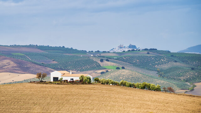 The landscape of Andalucia, southern Spain.  A single Finca can be seen amoungst the fields, ona  rare cloudy day. The whitewashed hill top town of Zahara de la Sierra can be seen in the distance