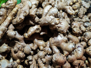 fresh ginger roots in the market 