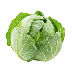 Fresh cabbage, natural vegetable