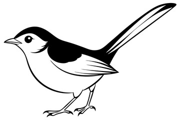 Obraz premium fairy wren line art silhouette vector illustration