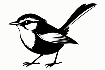 Obraz premium fairy wren line art silhouette vector illustration