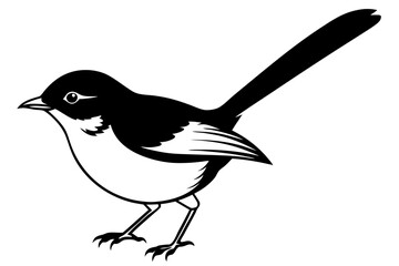Obraz premium fairy wren line art silhouette vector illustration