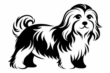 maltese dog line art silhouette vector illustration