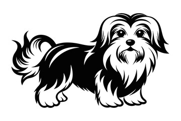 maltese dog line art silhouette vector illustration