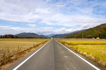田園地帯を貫く一本の直線道路と遠くに広がる山々の風景