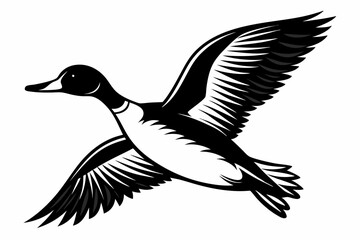 pintail duck flying line art silhouette vector illustration