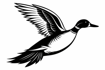 pintail duck flying line art silhouette vector illustration