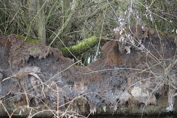 collapsed Island