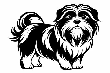 shih tzu line art silhouette vector illustration