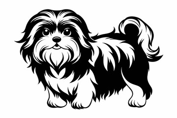 shih tzu line art silhouette vector illustration