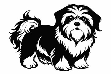 shih tzu line art silhouette vector illustration