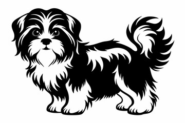 shih tzu line art silhouette vector illustration