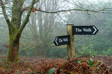 Woodland signpost, the walk. Misty autumn bracken and moss covered trees.