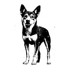 Retro stipple engraving of basenji dog standing – black‑and‑white vector illustration