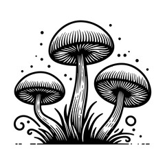 mushrooms with grass, black and white engraving style vector, vintage forest food illustration