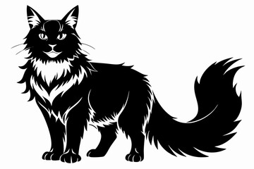  a maine coon cat is a very large breed line art silhouette vector illustration
