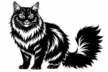  a maine coon cat is a very large breed line art silhouette vector illustration