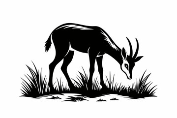chamois eat grass line art silhouette vector illustration