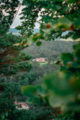 View of the valley through the trees.