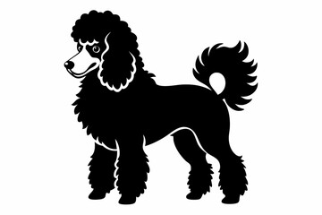poodle dog line art silhouette vector illustration