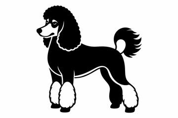 poodle dog line art silhouette vector illustration