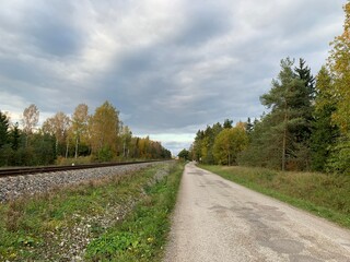 country road in autumn