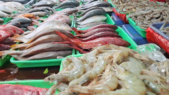 Traders sell mackerel, catfish, red snapper, shrimp, squid and several other freshwater fish to buyers who are bargaining for fish to buy at the traditional market.