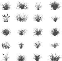 Fototapeta premium Set silhouettes of grass isolated on transparent background. Vector illustration