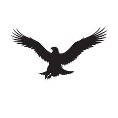 Big Eagle Open Arms