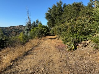 dirt hiking trail through the dead grass and brush in the desert - Escondido, California, USA