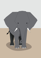 vector illustration of an elephant