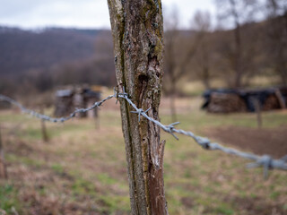 A weathered wooden fence post covered in yellow lichen, wrapped in barbed wire, stands against a blurred farmland background. The image highlights nature's resilience and rural boundaries.