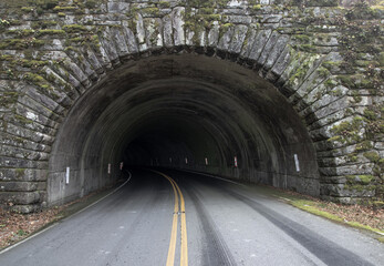 tunnel in the forest