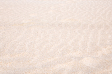 Discover the serene beauty of Fuerteventura's golden sands at sunrise