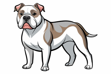 Fototapeta premium An american bulldog standing isolated on white background illustration vector design